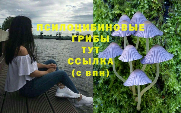 спайс Армянск