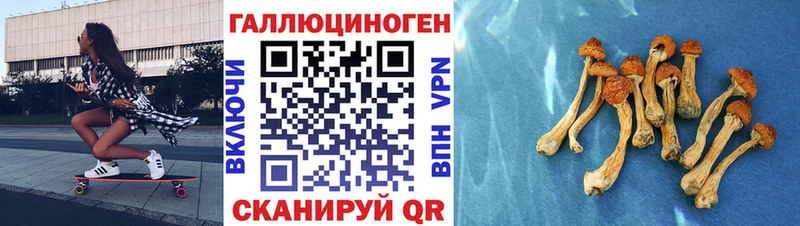 Галлюциногенные грибы Psilocybine cubensis  omg сайт  Сельцо 